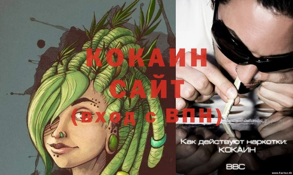 ГАЛЛЮЦИНОГЕННЫЕ ГРИБЫ Каменногорск