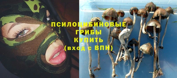ГАЛЛЮЦИНОГЕННЫЕ ГРИБЫ Каменногорск