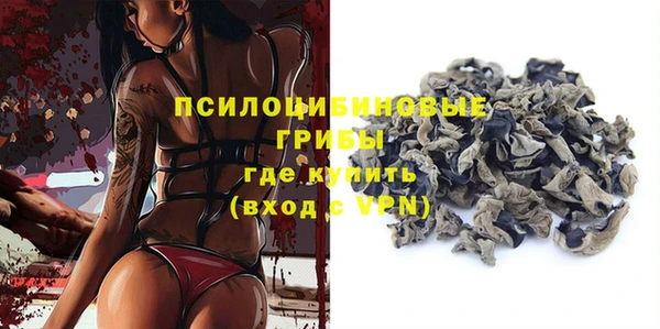 ГАЛЛЮЦИНОГЕННЫЕ ГРИБЫ Каменногорск