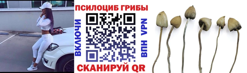 Галлюциногенные грибы мухоморы  Купить закладки  Кириши 
