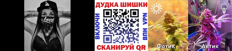 Бошки марихуана Amnesia Кириши