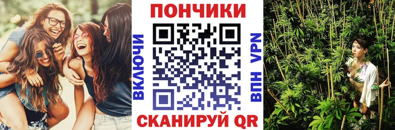 Канабис сатива  Купить где  Кириши 